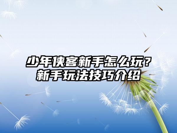 少年侠客新手怎么玩？新手玩法技巧介绍