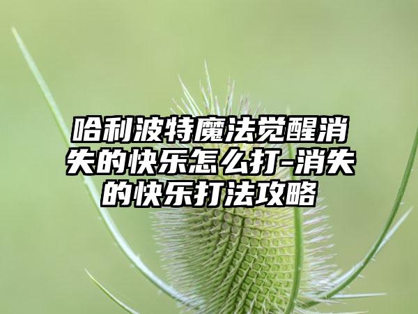 哈利波特魔法觉醒消失的快乐怎么打-消失的快乐打法攻略
