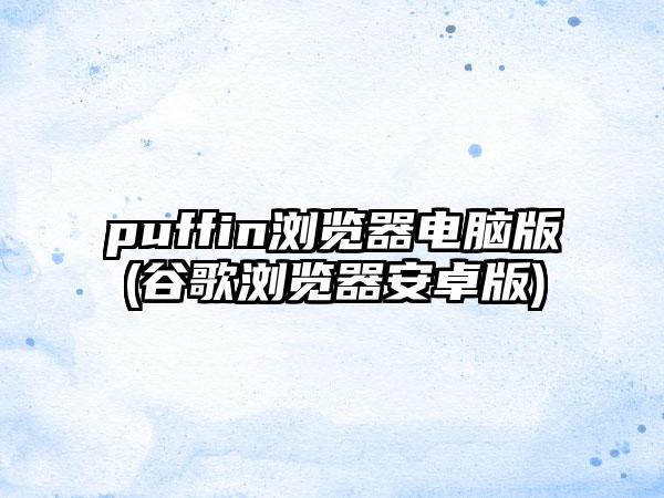 puffin浏览器电脑版(谷歌浏览器安卓版)