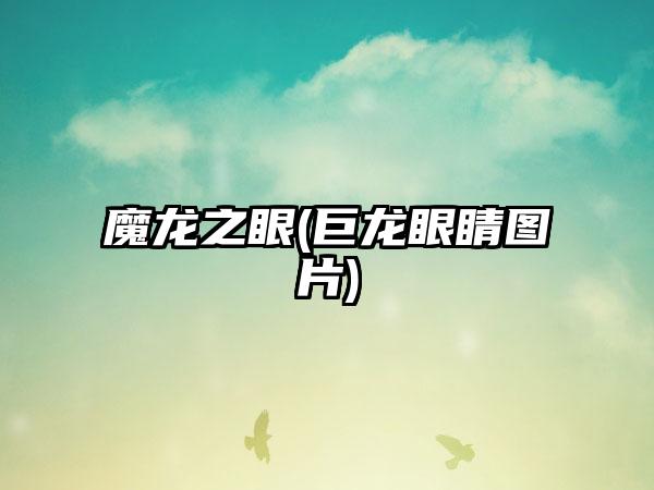 魔龙之眼(巨龙眼睛图片)