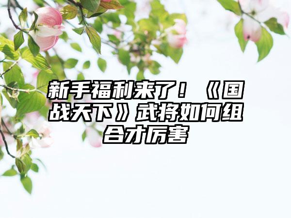 新手福利来了！《国战天下》武将如何组合才厉害