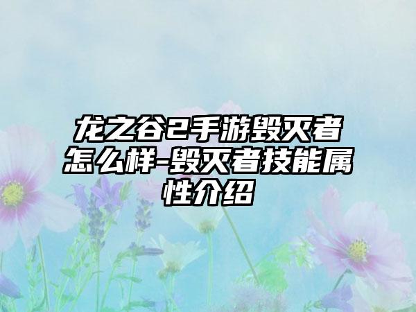 龙之谷2手游毁灭者怎么样-毁灭者技能属性介绍