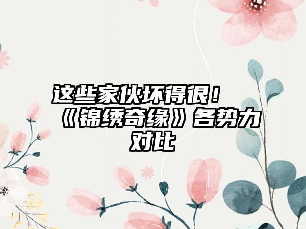 这些家伙坏得很！《锦绣奇缘》各势力对比