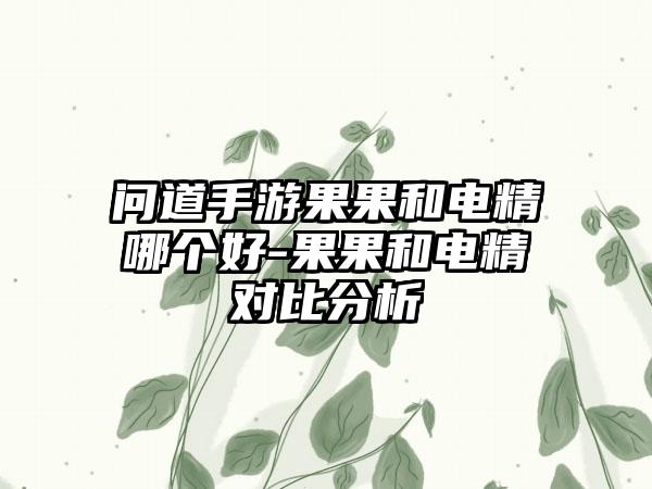 问道手游果果和电精哪个好-果果和电精对比分析