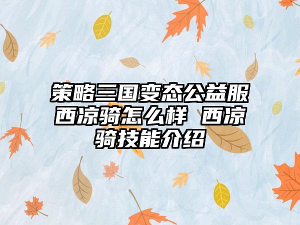 策略三国变态公益服西凉骑怎么样 西凉骑技能介绍