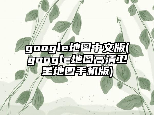google地图中文版(google地图高清卫星地图手机版)