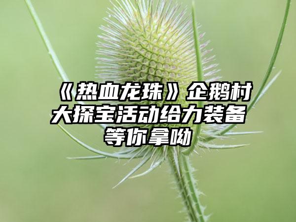 《热血龙珠》企鹅村大探宝活动给力装备等你拿呦