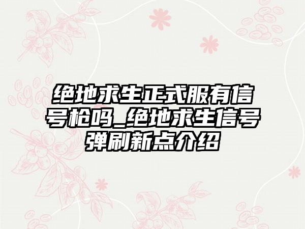 绝地求生正式服有信号枪吗_绝地求生信号弹刷新点介绍