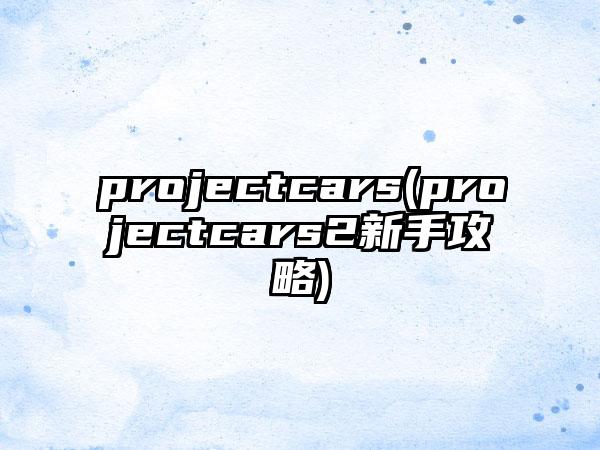 projectcars(projectcars2新手攻略)