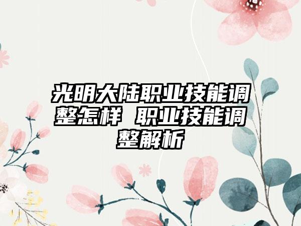 光明大陆职业技能调整怎样 职业技能调整解析