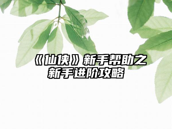 《仙侠》新手帮助之新手进阶攻略