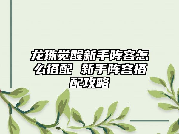 龙珠觉醒新手阵容怎么搭配 新手阵容搭配攻略