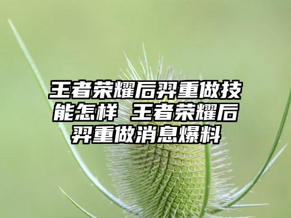 王者荣耀后羿重做技能怎样 王者荣耀后羿重做消息爆料