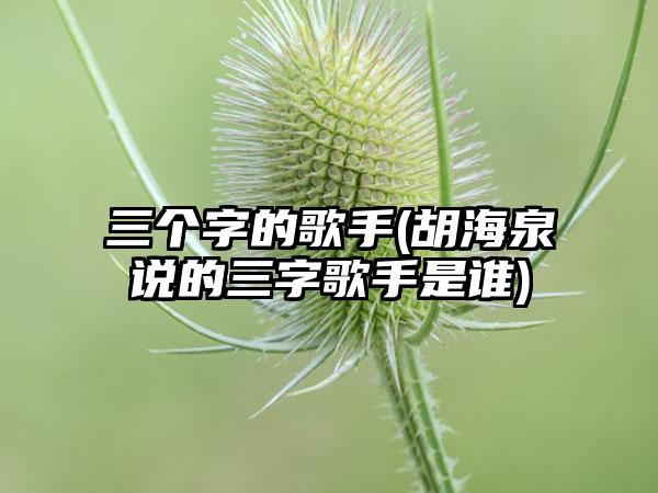 三个字的歌手(胡海泉说的三字歌手是谁)