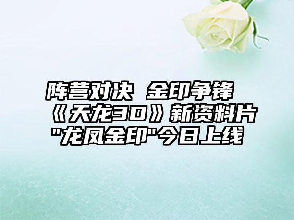 阵营对决 金印争锋 《天龙3D》新资料片