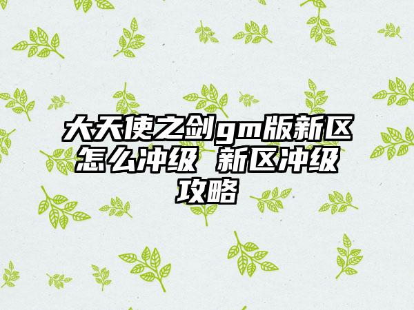 大天使之剑gm版新区怎么冲级 新区冲级攻略