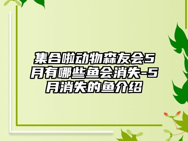 集合啦动物森友会5月有哪些鱼会消失-5月消失的鱼介绍