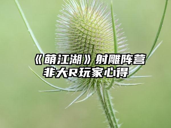 《萌江湖》射雕阵营非大R玩家心得
