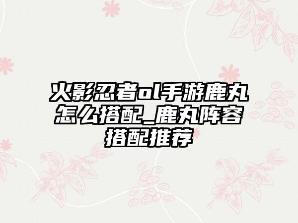 火影忍者ol手游鹿丸怎么搭配_鹿丸阵容搭配推荐