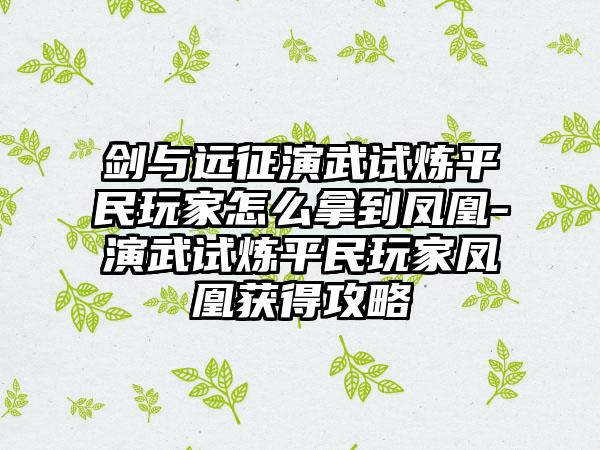 剑与远征演武试炼平民玩家怎么拿到凤凰-演武试炼平民玩家凤凰获得攻略
