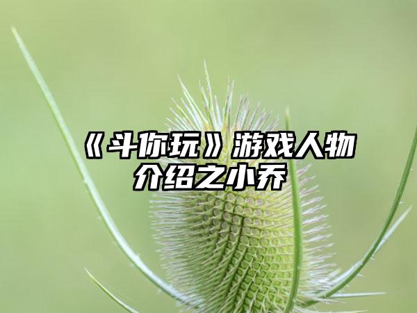《斗你玩》游戏人物介绍之小乔