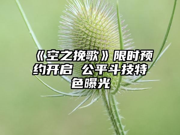 《空之挽歌》限时预约开启 公平斗技特色曝光