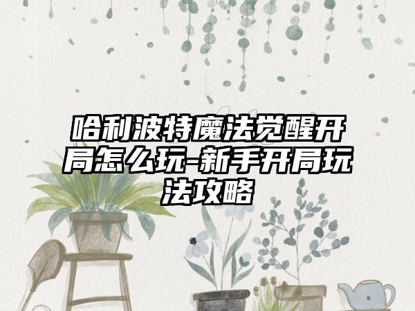 哈利波特魔法觉醒开局怎么玩-新手开局玩法攻略