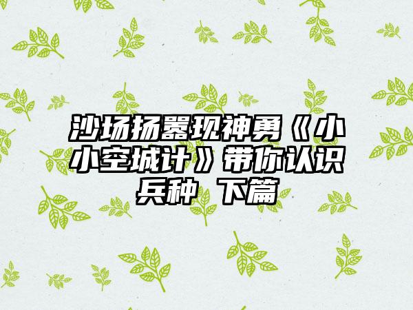 沙场扬嚣现神勇《小小空城计》带你认识兵种 下篇