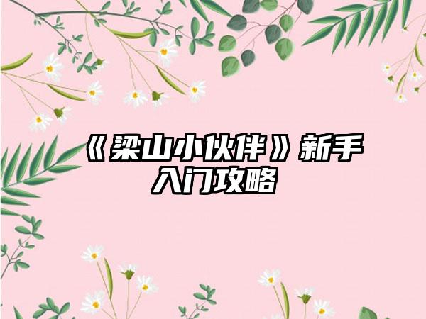 《梁山小伙伴》新手入门攻略