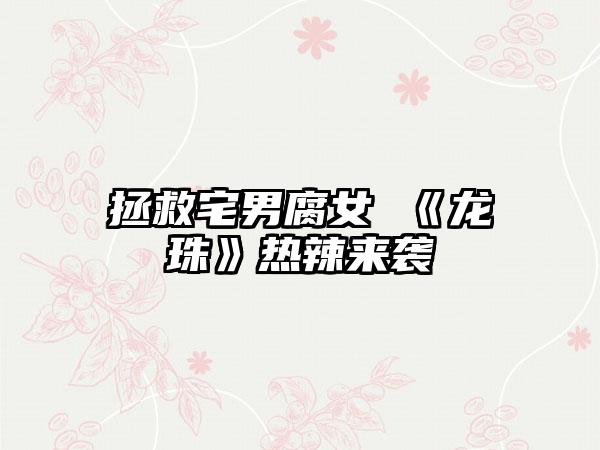 拯救宅男腐女 《龙珠》热辣来袭