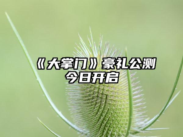 《大掌门》豪礼公测今日开启
