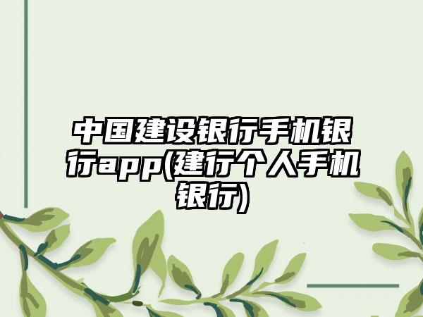 中国建设银行手机银行app(建行个人手机银行)