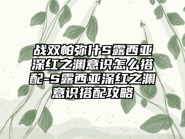 战双帕弥什S露西亚深红之渊意识怎么搭配-S露西亚深红之渊意识搭配攻略