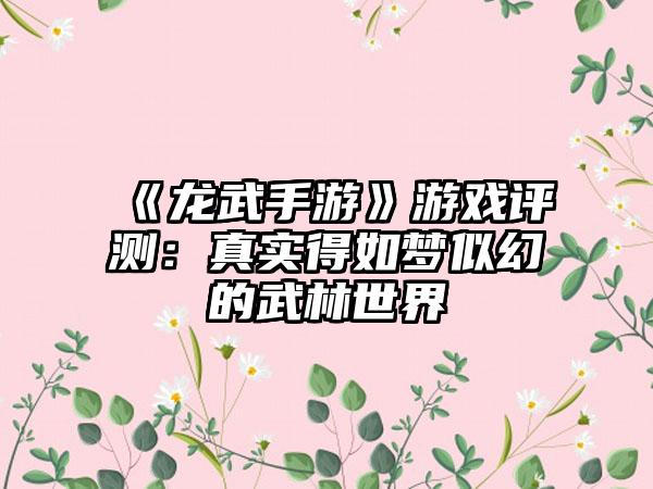 《龙武手游》游戏评测：真实得如梦似幻的武林世界