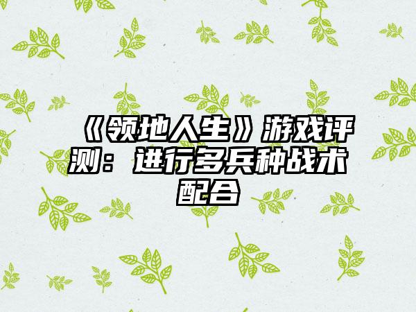 《领地人生》游戏评测：进行多兵种战术配合