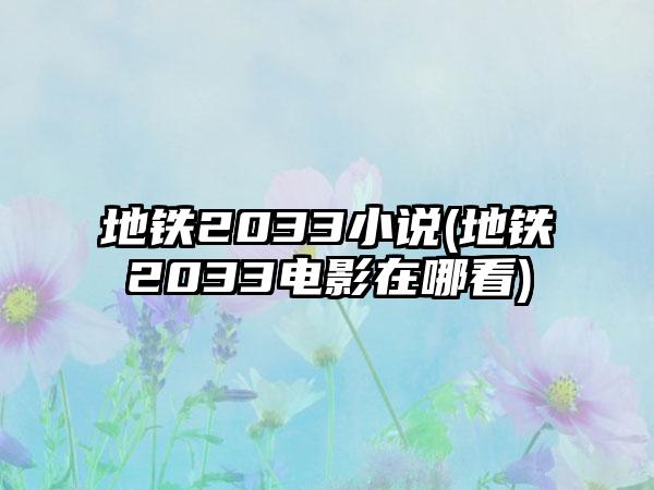 地铁2033小说(地铁2033电影在哪看)