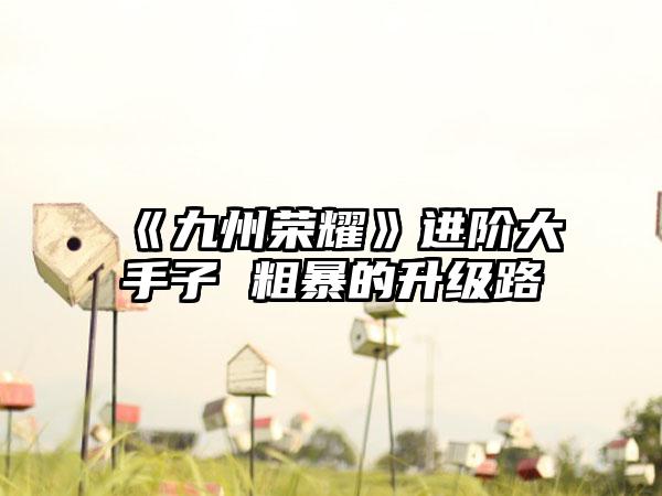 《九州荣耀》进阶大手子 粗暴的升级路