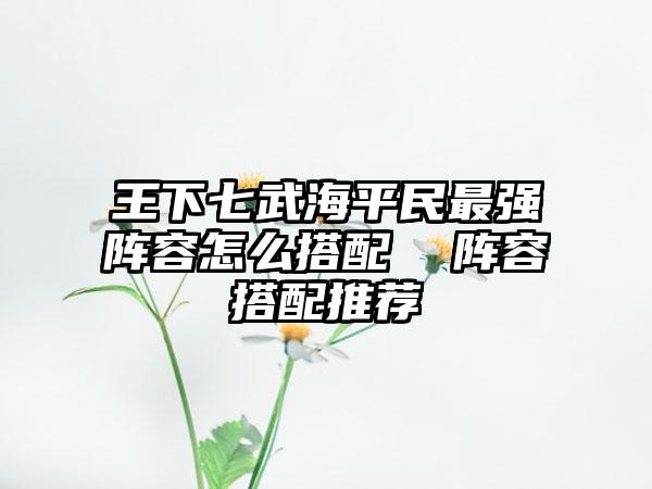 王下七武海平民最强阵容怎么搭配  阵容搭配推荐