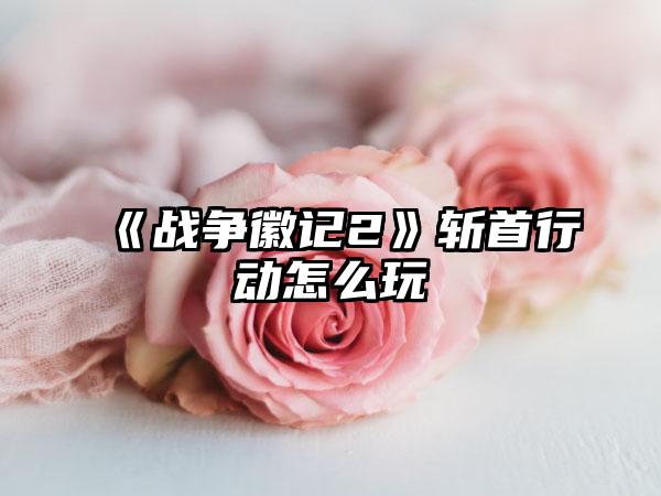 《战争徽记2》斩首行动怎么玩