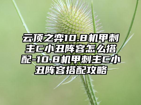 云顶之弈10.8机甲刺主C小丑阵容怎么搭配-10.8机甲刺主C小丑阵容搭配攻略