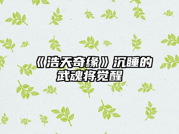 《浩天奇缘》沉睡的武魂将觉醒