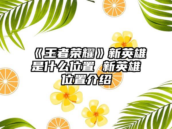 《王者荣耀》新英雄暃是什么位置 新英雄暃位置介绍