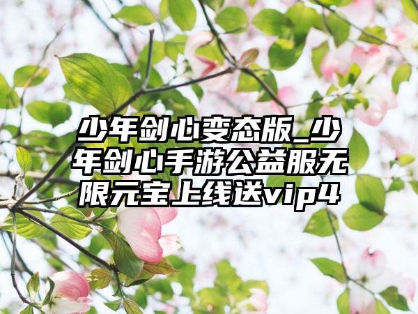 少年剑心变态版_少年剑心手游公益服无限元宝上线送vip4