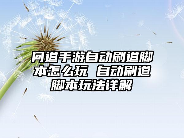 问道手游自动刷道脚本怎么玩 自动刷道脚本玩法详解