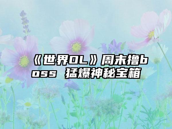 《世界OL》周末撸boss 猛爆神秘宝箱