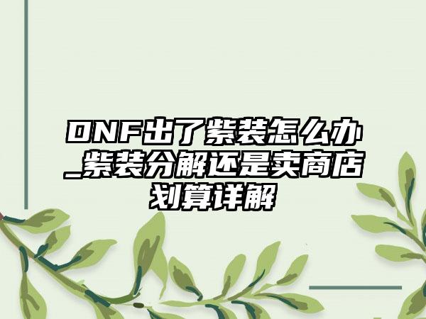 DNF出了紫装怎么办_紫装分解还是卖商店划算详解