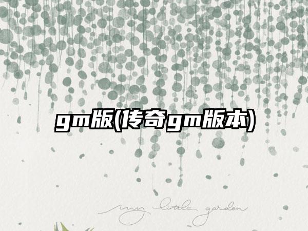 gm版(传奇gm版本)