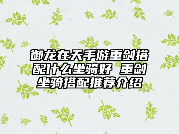 御龙在天手游重剑搭配什么坐骑好 重剑坐骑搭配推荐介绍