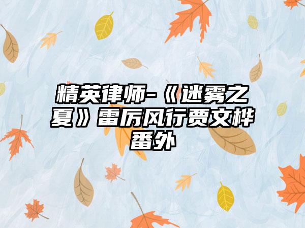 精英律师-《迷雾之夏》雷厉风行贾文桦番外