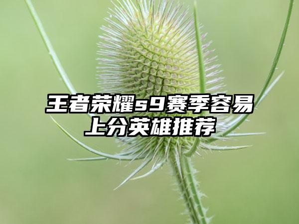 王者荣耀s9赛季容易上分英雄推荐
